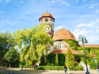 Балтийск, Янтарный и Светлогорск
